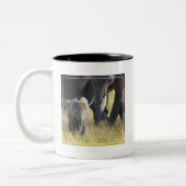 Tasse 2 Couleurs Éléphant de bébé (Gauche)