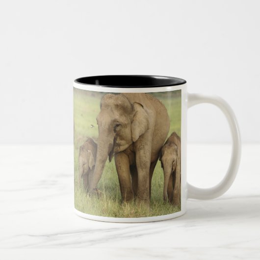 Tasse 2 Couleurs Eléphant et jeunes indiens d'Asie (Droit)