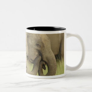 Tasse 2 Couleurs Éléphants asiatiques indiens