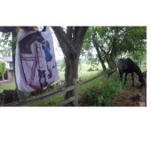 Tasse 2 Couleurs Elle s'amuse tellement !