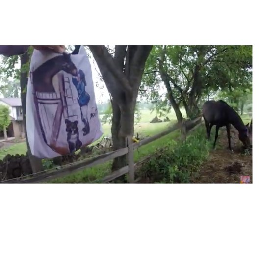 Tasse 2 Couleurs Elle s'amuse tellement !