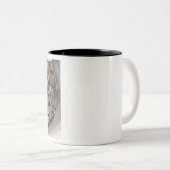 Tasse 2 Couleurs Éloigné (Devant droit)