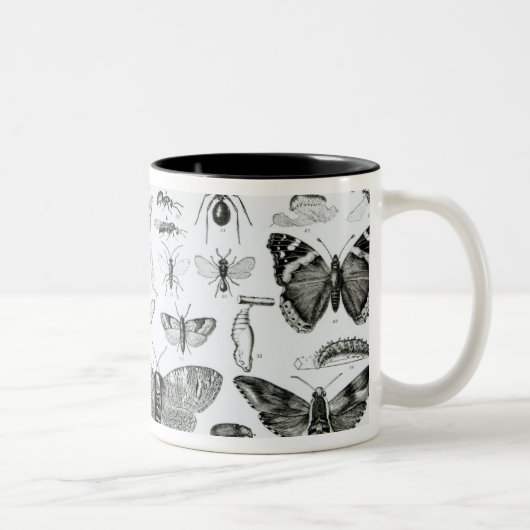 Tasse 2 Couleurs Entomologie (Droit)