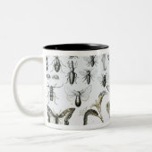 Tasse 2 Couleurs Entomologie (Gauche)