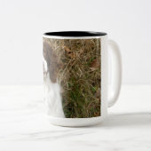 Tasse 2 Couleurs Épagneul de springer anglais - meilleur ami (Devant droit)