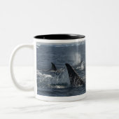 Tasse 2 Couleurs épaulard (Gauche)