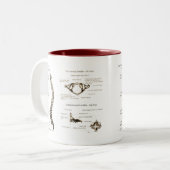 Tasse 2 Couleurs Épine (Devant gauche)