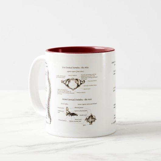 Tasse 2 Couleurs Épine (Devant gauche)