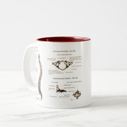 Tasse 2 Couleurs Épine (Devant gauche)