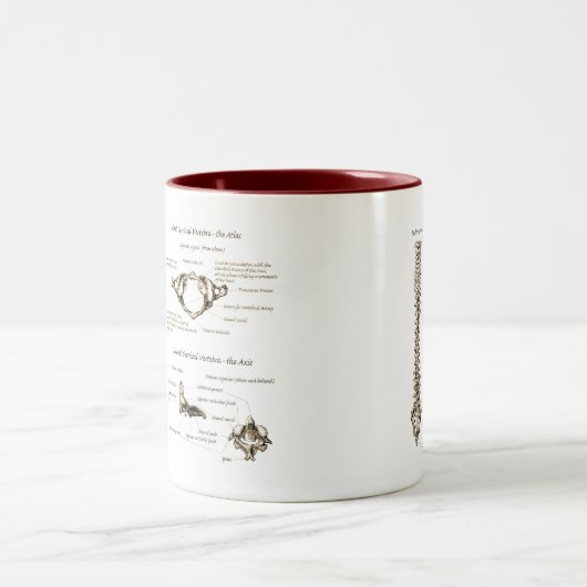 Tasse 2 Couleurs Épine (Centre)