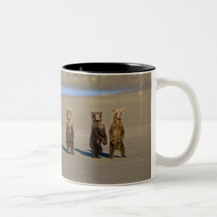 Tasse 2 Couleurs États-Unis. Alaska. Oursons brun côtiers