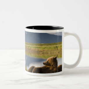 Tasse 2 Couleurs États-Unis, Alaska, parc national de Katmai, ours 