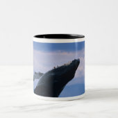 Tasse 2 Couleurs États-Unis, Alaska, Tongass National Forest, Humpb (Centre)