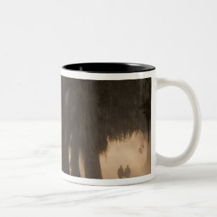 Tasse 2 Couleurs États-Unis; Amérique du Nord; Géorgie; Savannah. G