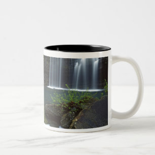 Tasse 2 Couleurs États-Unis, Arkansas, Ozark- St Francis National
