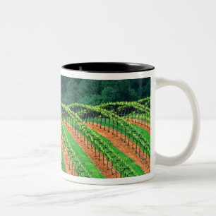 Tasse 2 Couleurs États-Unis, Californie, comté de Mendocino, un tre