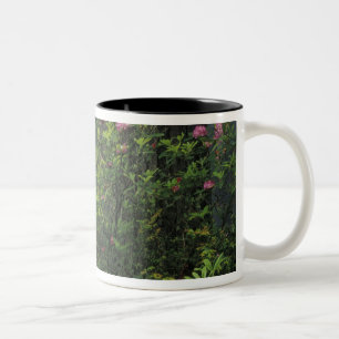 Tasse 2 Couleurs États-Unis, Californie, Del Norte, Redwoods St. Pa