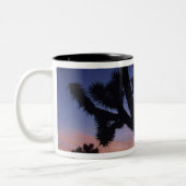 Tasse 2 Couleurs États-Unis, Californie, Joshua Tree National Park, (Gauche)