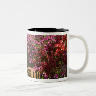 Tasse 2 Couleurs États-Unis; Caroline du Sud; Charleston;