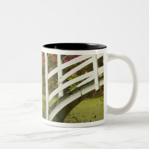 Tasse 2 Couleurs États-Unis; Caroline du Sud; Charleston; 2