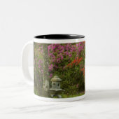 Tasse 2 Couleurs États-Unis; Caroline du Sud; Charleston;5 (Devant gauche)