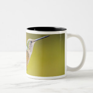 Tasse 2 Couleurs États-Unis, Colorado, comté de Summit, Heeney. Vue