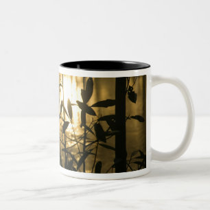 Tasse 2 Couleurs États-Unis, Géorgie, Callaway Gardens, Lever du so