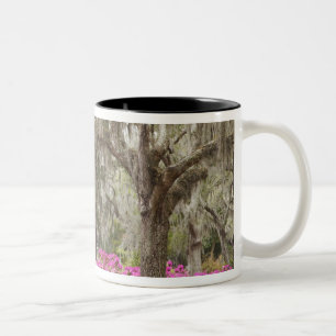 Tasse 2 Couleurs Etats-Unis, Géorgie, Savannah, Printemps de l'his