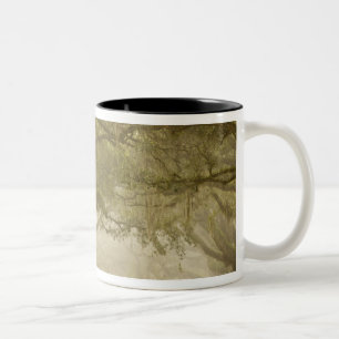 Tasse 2 Couleurs États-Unis, Géorgie, Savannah, Une allée bordée de
