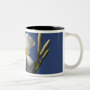 Tasse 2 Couleurs États-Unis, Hawaï, Kauai, plumeria blanc.