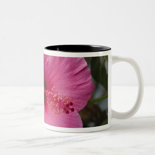 Tasse 2 Couleurs États-Unis, Hawaï, Oahu. L'Hibiscus est le 2 (Droit)