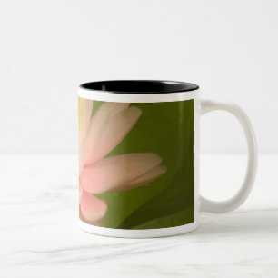 Tasse 2 Couleurs États-Unis, Maryland, Westminster, Union