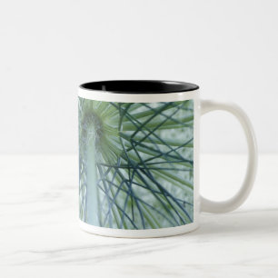 Tasse 2 Couleurs États-Unis, Michigan. Carotte sauvage vue de
