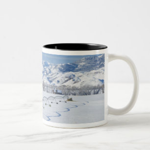 Tasse 2 Couleurs États-Unis, MT, Ferme près de Livingston