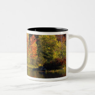 Tasse 2 Couleurs États-Unis, New Hampshire, Moultonborough. Arbres