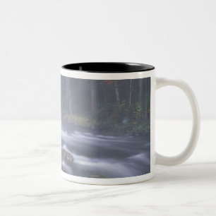 Tasse 2 Couleurs États-Unis, New York, Adirondacks, Big Moose Rive