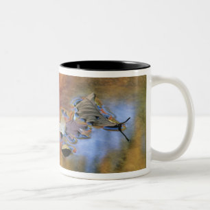 Tasse 2 Couleurs États-Unis, New York, Adirondacks, Feuilles mortes