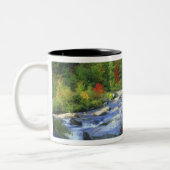 Tasse 2 Couleurs États-Unis, New York. Une cascade dans l'Adirondac (Gauche)