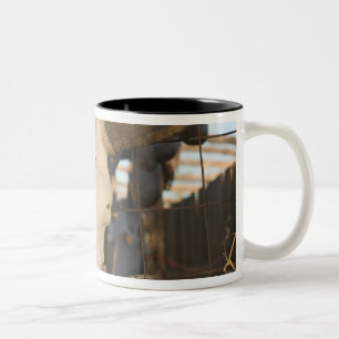 Tasse 2 Couleurs États-Unis, Nouveau-Mexique, Mesilla: Place histor