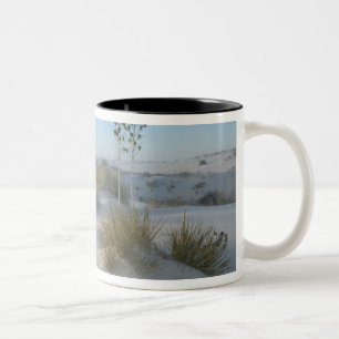 Tasse 2 Couleurs États-Unis, Nouveau-Mexique, White Sands National