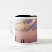 Tasse 2 Couleurs États-Unis, Oregon, Forêt nationale de Deschutes,  (Devant gauche)