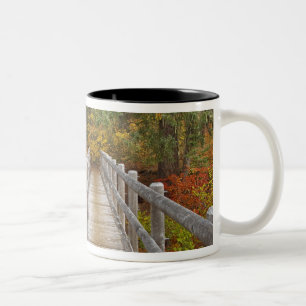 Tasse 2 Couleurs États-Unis, Oregon, Forêt nationale de Willamette.