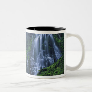 Tasse 2 Couleurs États-Unis, Oregon, Forêt nationale de Willamette.