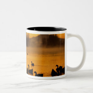 Tasse 2 Couleurs États-Unis, Oregon, Portland. Oiseaux d'eau en Col