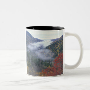 Tasse 2 Couleurs États-Unis, Tennessee, Great Smokey Mountains Nati