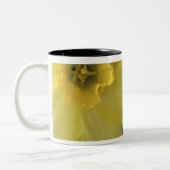 Tasse 2 Couleurs États-Unis, Utah, jonquilles de Cache Valley (Gauche)