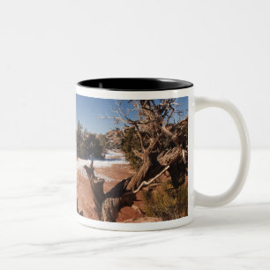 Tasse 2 Couleurs États-Unis, Utah, Moab. Parc national de Canyonlan