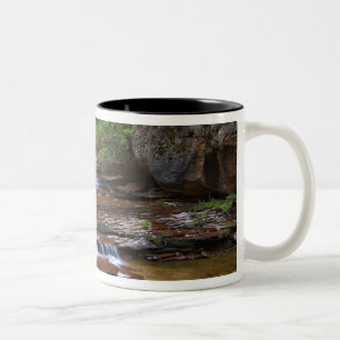 Tasse 2 Couleurs États-Unis, Utah, parc national de Zion. Scénique 