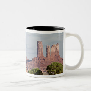 Tasse 2 Couleurs États-Unis, Utah, Parc tribal navajo de Monument V