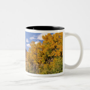 Tasse 2 Couleurs États-Unis, Utah, près du parc national de Canyonl